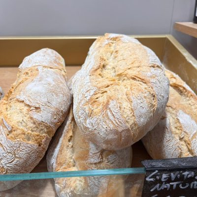 PHOTO-2026-02-25-11-52-01